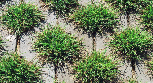 Zrzut ekranu 2022-07-29 181857.png